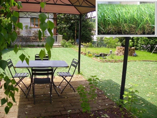 장식적인 양탄자 인공적인 잔디 35mm의 정원 DEQZT3512DF1를 위한 11600Dtex 합성 잔디
