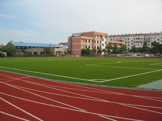 미식 축구 경기장을 위한 9000Dtex 인공적인 잔디, UV 저항하는 25mm 빨강 잔디
